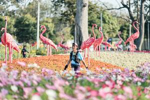 BIB: 
                            <button type="button" onclick="openModal(27344239)" class="btn btn-primary btn-sm float-right btn-popup" data-toggle="modal" data-target=".modal-high-quality">
                        <i class="fas fa-shopping-cart"></i> Add to Cart
                    </button>
                                            <button type="button" onclick="isThisMe(27344239, true)" class="btn btn-success btn-sm float-right btn-popup btn-isme hidden" data-toggle="tooltip" data-placement="bottom" title="นี่คือรูปของคุณใช่ไหม คลิกที่นี่เพื่อเอาเข้าอัลบั้ม">
                        <i class="fas fa-plus"></i> Add to album
                    </button>
                    <button type="button" onclick="isThisMe(27344239, false)" class="btn btn-warning btn-sm float-right btn-popup btn-isnotme hidden">
                        <i class="fas fa-ban"></i> Remove from album
                    </button>